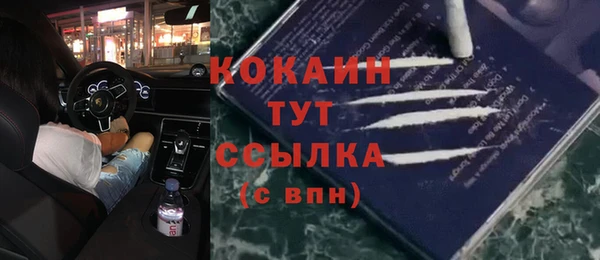 прущие грибы Абинск