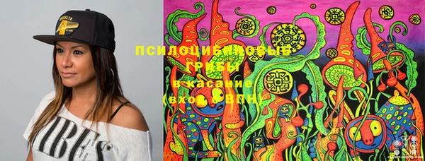 сатива Алексеевка