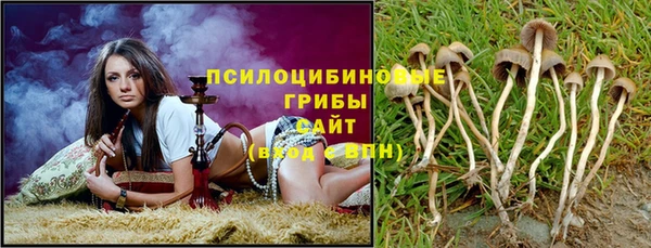 бошки Абдулино