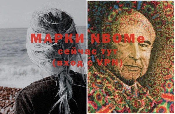 прущие грибы Абинск