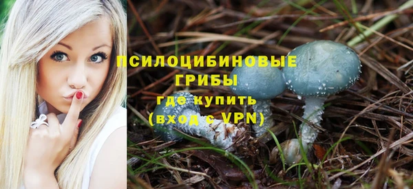 сатива Алексеевка