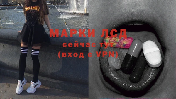 прущие грибы Абинск