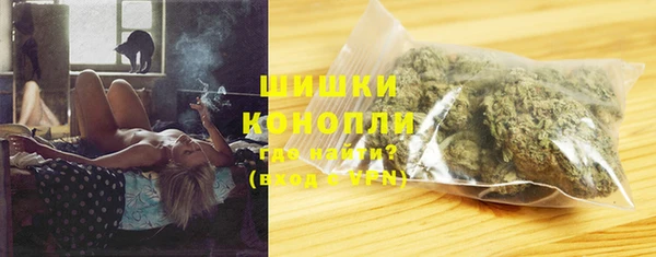 прущие грибы Абинск