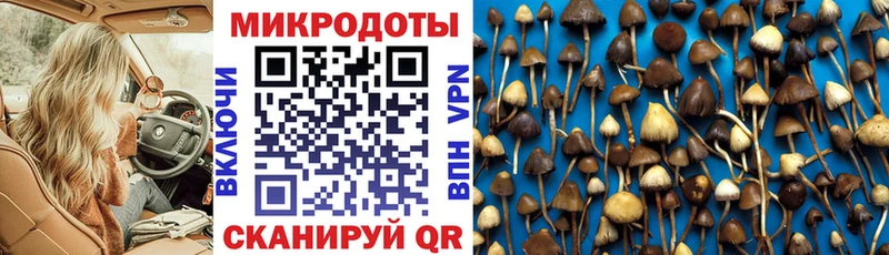 Галлюциногенные грибы мухоморы  Духовщина 